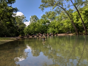 MK BSSP Whistle bridge fish on