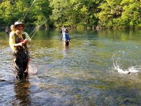 MK BSSP trout splash