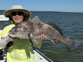 Michelle Black Drum 2019-2