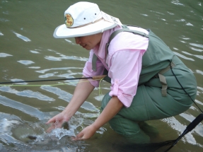 Michelle release trout